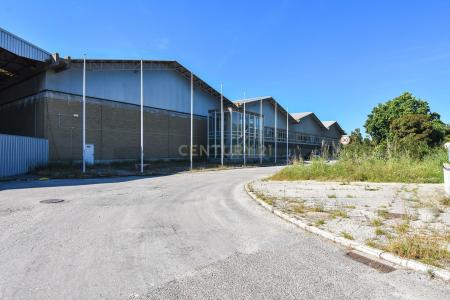 Setubal, Setubal 2910, Portugalia