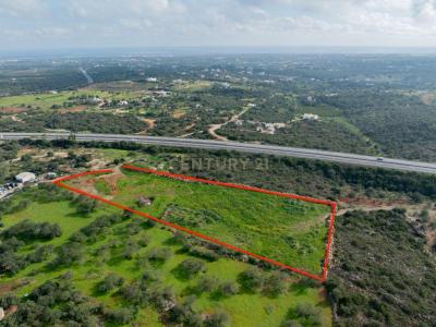 Tavira, Faro 8800-501, Bồ Đào Nha