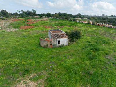 Tavira, Faro 8800-501, Bồ Đào Nha