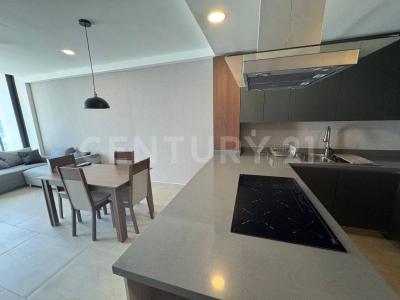 Acueducto 901,, Santa Catarina, 新萊昂 66354, 墨西哥