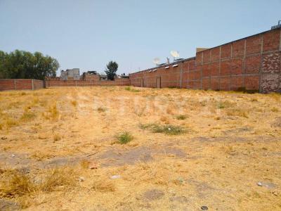 Cortazar, Guanajuato 38300, Mexico