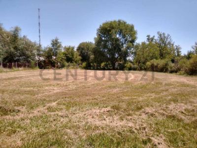 corrientes ecuador, Oliveros, Санта-Фе 00001, Аргентина