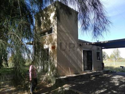 Ruta 20 y Serpa , Rodeo Del Medio, Mendoza 5529, Argentina