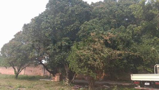 Zona Norte, Av. G77 SN, Norte, Santa Cruz 0000, Bolivia