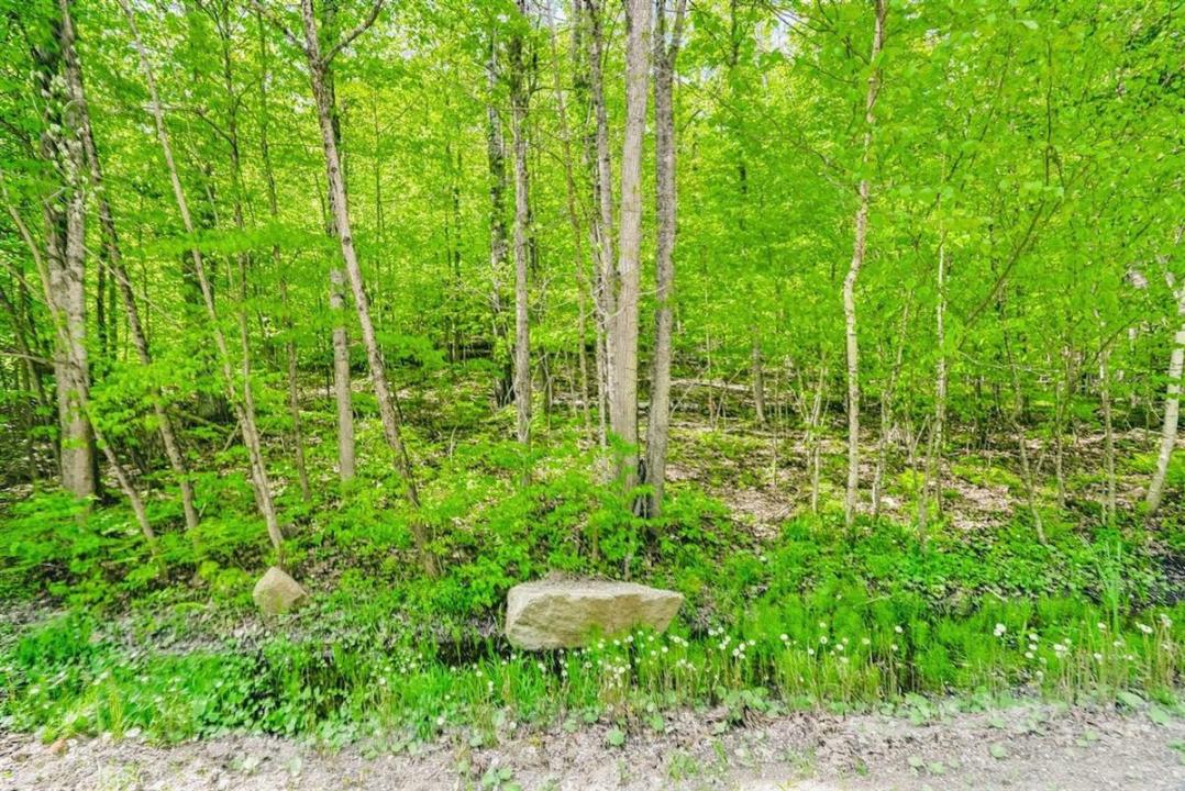 Rue d'Ovesta, Cantley, Quebec J8V 3B2, Canada
