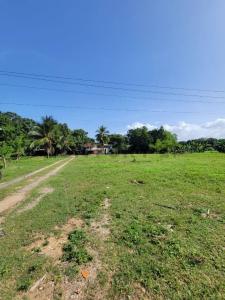 Via la Cumaca Venta de Terreno Via la Cumaca, San Diego, Carabobo 2006, Venezuela