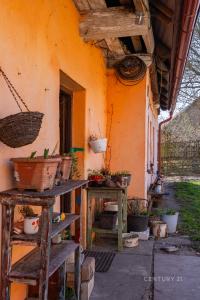 Hlavní, Záhornice, Nymburk 28903, Чешская Республика