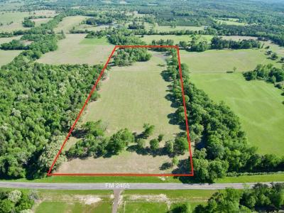 TBD FM 2455, Pittsburg, تكساس 75686, الولايات المتحدة