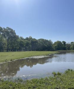 TBD FM 2455, Pittsburg, Texas 75686, USA