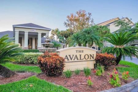 1226 S MISSOURI AVENUE 1013, CLEARWATER, Florida 33756, USA