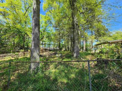 000 N Rose Street, Sheridan, Arkansas 72150, Estados Unidos
