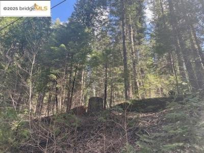 25087 Abraham Ave, Long Barn, California 95335, USA