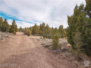 4300 N MOQUIE CT 7, Alton, يوتا 84710, الولايات المتحدة