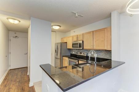 222 N Columbus Drive , 606, Chicago, Illinois 60601, Stati Uniti
