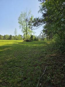 000 Dan Acree Road Tract 3, Downsville, Louisiana 71234, USA