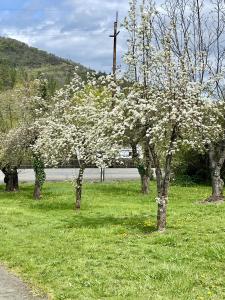 7015 Rogue River Highway, Grants Pass, Oregon 97527, Stati Uniti