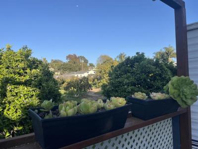 523 N Vulcan Avenue , 35, Encinitas, Califórnia 92024, Estados Unidos