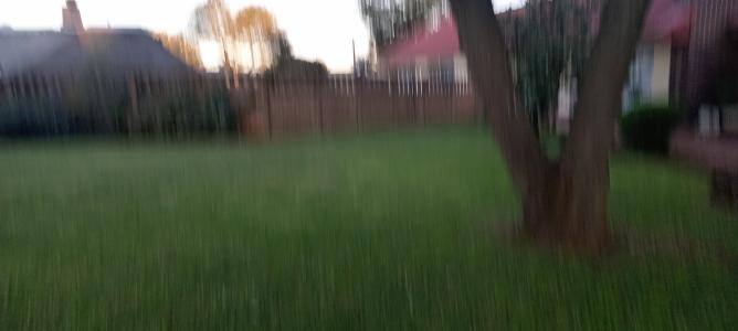 Springs, Gauteng, 南非