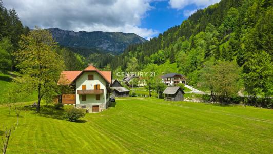 Robanov kot, Solčava, Savinjska 3335, Slovenia