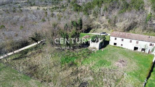 Grožnjan, Grožnjan, Istarska Županija, Croazia