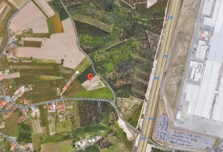 Vagos, Aveiro 3840-507, Portugal