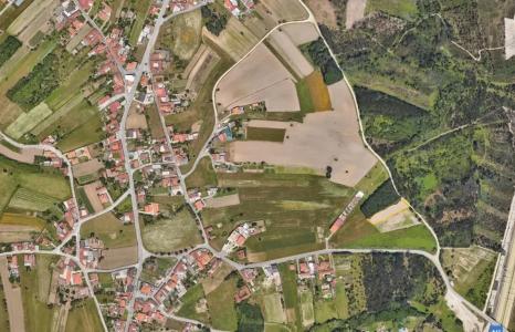 Vagos, Aveiro 3840, Portugal