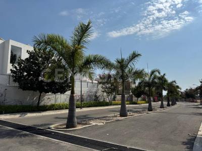 1ra cerrada Tehuicil sur 19,, Atlatlahucan, Morelos 62847, Mexico