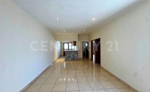 EMILIANO ZAPATA 12,, San Jose Iturbide, ولاية غواناخواتو 37980, المكسيك