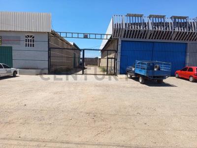 San Juan Bautista, Nueva Esparta 6301, 委內瑞拉