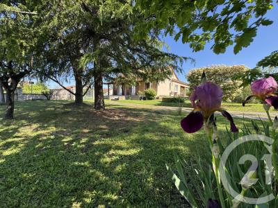 St Juery, Mediodia-Pireneos 81160, Francia