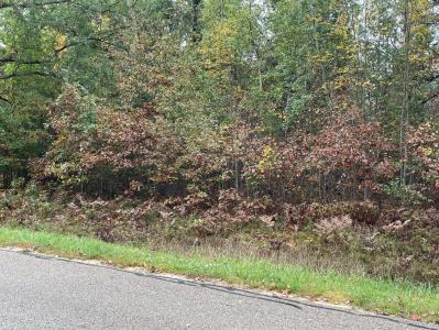 LOT 35&36 Hidden Hills, Houghton Lake, ミシガン 48629, アメリカ合衆国