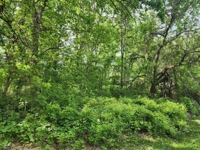 Gingers Drive, Muscoda, 威斯康辛州 53573, 美国