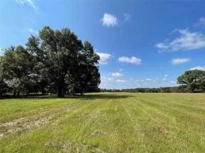 Lot 5A Rains County Road 2420, Alba, Texas 75410, USA