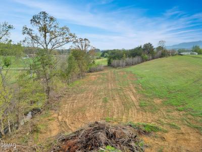 1090 Red Hill Rd - Tract 7, Greeneville, Tennessee 37743