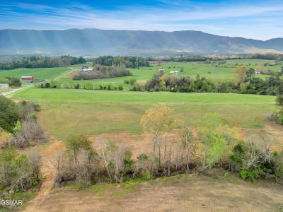 1090 Red Hill Rd - Tract 7, Greeneville, Tennessee 37743
