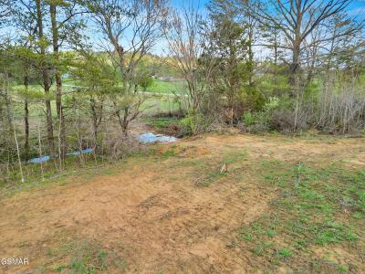 1090 Red Hill Rd - Tract 7, Greeneville, Tennessee 37743