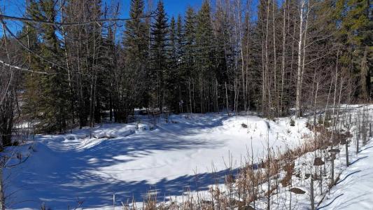 17414 HIGHWAY 748 N, Rural Yellowhead County, Альберта T7E 3N7, Канада