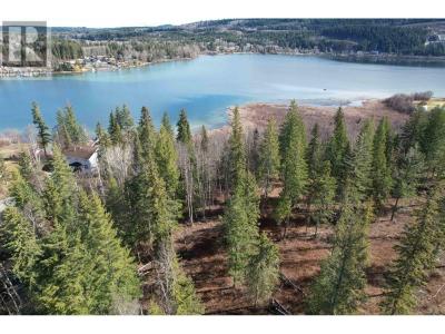 LOT 1 GOOK ROAD, Quesnel, Colúmbia Britânica V2J 6N7, CANADÁ