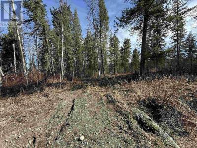 LOT 1 GOOK ROAD, Quesnel, Colúmbia Britânica V2J 6N7, CANADÁ