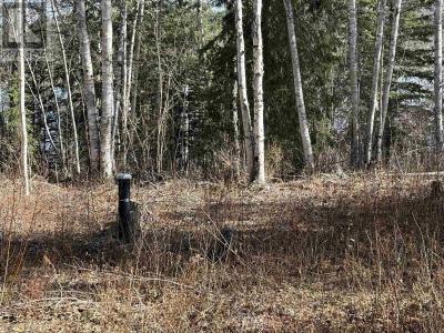 LOT 1 GOOK ROAD, Quesnel, Colúmbia Britânica V2J 6N7, CANADÁ