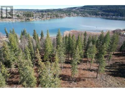 LOT 2 GOOK ROAD, Quesnel, Colúmbia Britânica V2J 6N7, CANADÁ