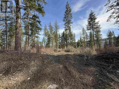 LOT 2 GOOK ROAD, Quesnel, Colúmbia Britânica V2J 6N7, CANADÁ