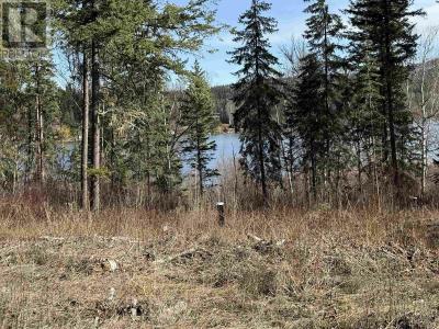 LOT 2 GOOK ROAD, Quesnel, Colúmbia Britânica V2J 6N7, CANADÁ
