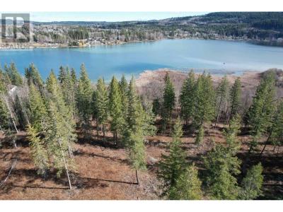 LOT 3 GOOK ROAD, Quesnel, Colúmbia Britânica V2J 6N7, CANADÁ