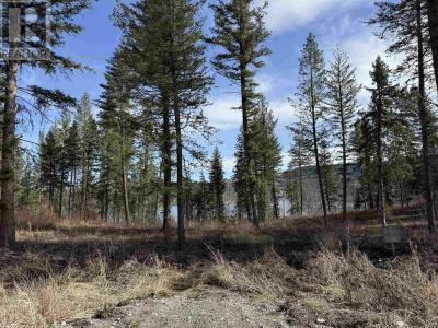 LOT 3 GOOK ROAD, Quesnel, Colúmbia Britânica V2J 6N7, CANADÁ