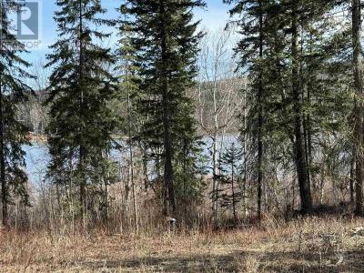 LOT 3 GOOK ROAD, Quesnel, Colúmbia Britânica V2J 6N7, CANADÁ