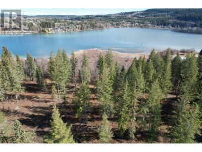LOT 5 GOOK ROAD, Quesnel, Colúmbia Britânica V2J 6N7, CANADÁ