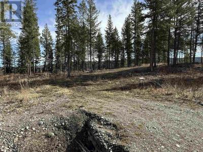 LOT 5 GOOK ROAD, Quesnel, Colúmbia Britânica V2J 6N7, CANADÁ