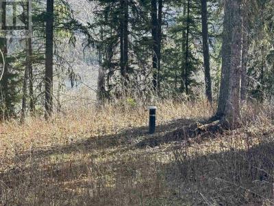 LOT 5 GOOK ROAD, Quesnel, Colúmbia Britânica V2J 6N7, CANADÁ