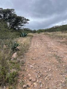 Manzana V, Sección 3 Hacienda Real 1800 Lote 18,, Huichapan, イダルゴ 42430, メキシコ
